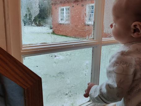 We're parents? WHAT?!