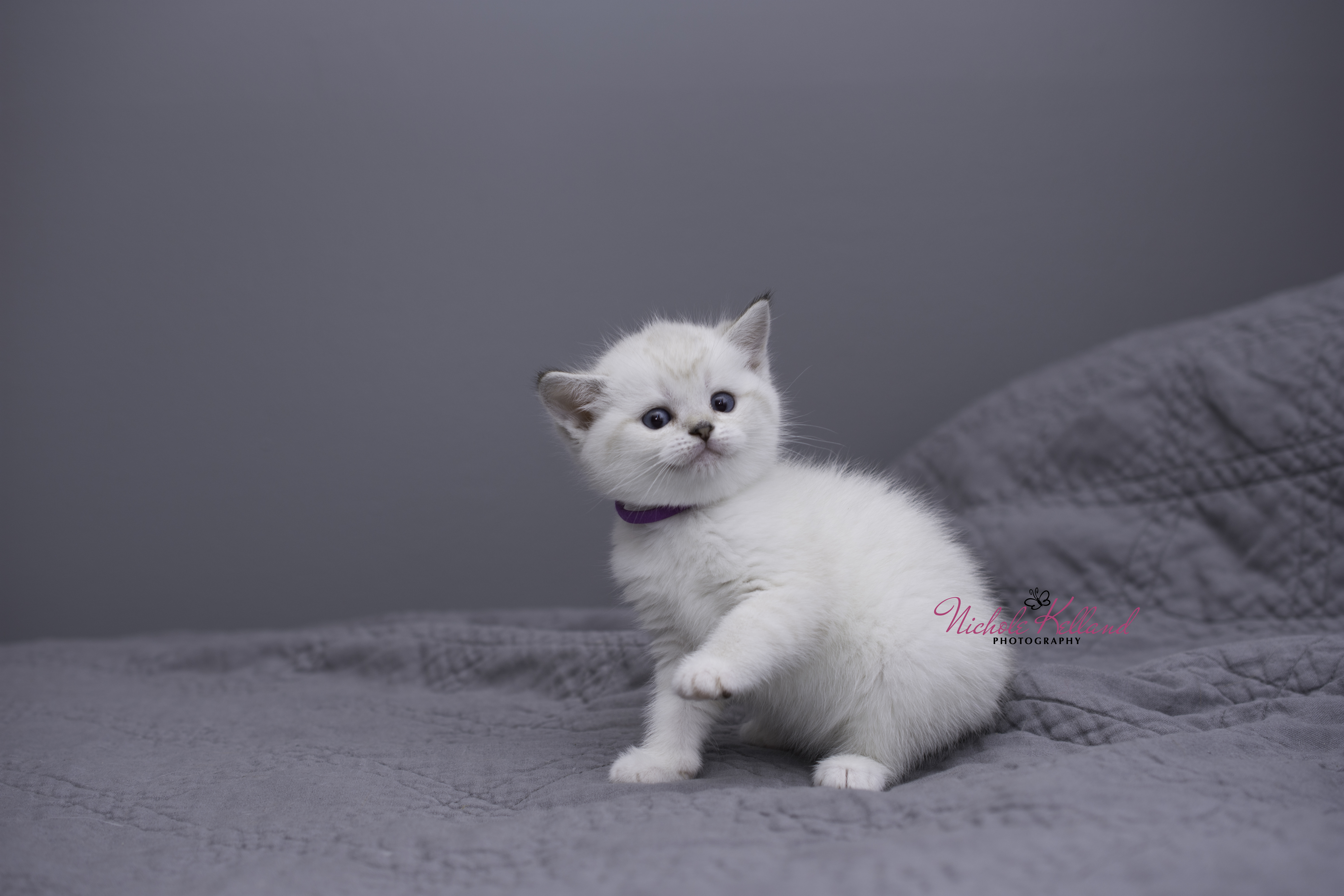 Dorothy