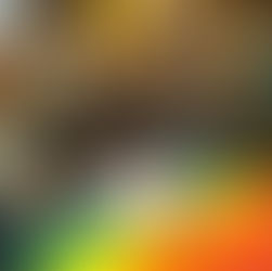 Câmara de Comércio e Turismo LGBT é a nova parceira do Fórum