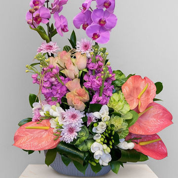 Mor orkideler ve çeşitli çiçeklerden oluşan zarif çiçek aranjmanı, beyaz zemin.