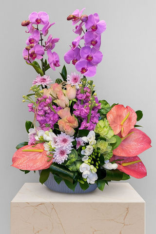 Mor orkideler ve çeşitli çiçeklerden oluşan zarif çiçek aranjmanı, beyaz zemin.