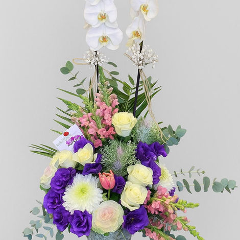 Beyaz orkide ve çeşitli çiçeklerle dolu, şık bir çiçek aranjmanı görüntüleniyor.