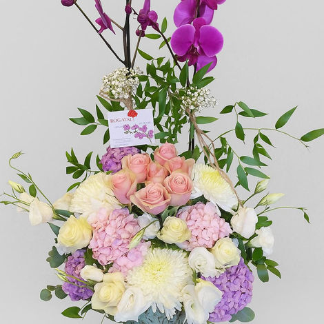 Mor orkide ve renkli karanfiller çiçek aranjmanı, zarif bir vazo içinde duruyor.