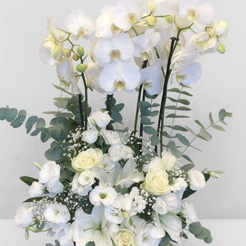 Beyaz orkide ve çiçek aranjmanı, zarif yapraklarla hazırlanmış güzel bir sunum.