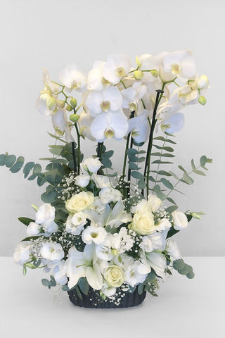 Beyaz orkide ve çiçek aranjmanı, zarif yapraklarla hazırlanmış güzel bir sunum.