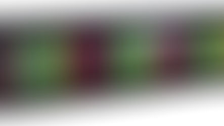 Densitron Further Extends Lead in Display, Control, and Interface Solutions at IBC 2019