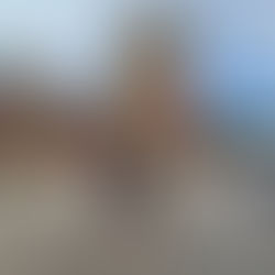 A experiência de uma gorda no Beto Carrero World