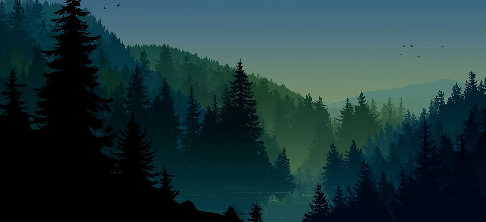 voodoorazer_Ultrawide_distant_wide_shot_