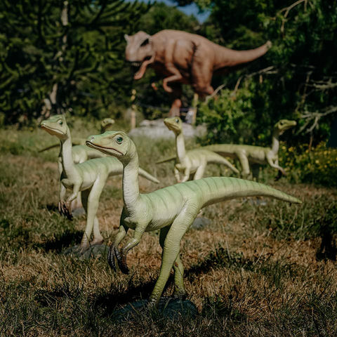 DinoFest, Dinosaur event & kids activity Australia