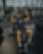 Vertex Fitness (53).png