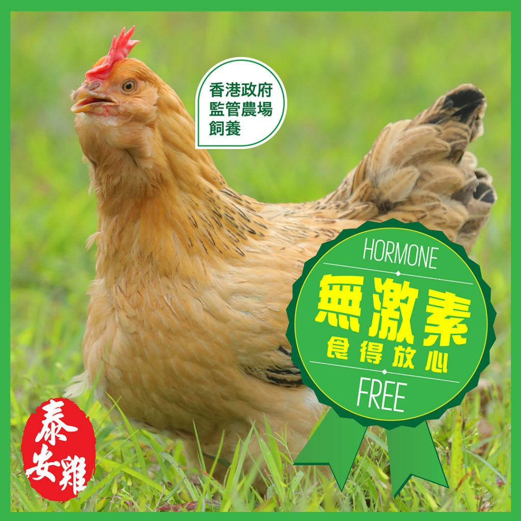 香港飼養 : 新鮮泰安雞 /隻(約3斤-3斤半)