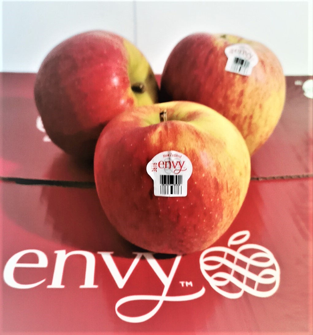 紐西蘭艾菲蘋果/4個