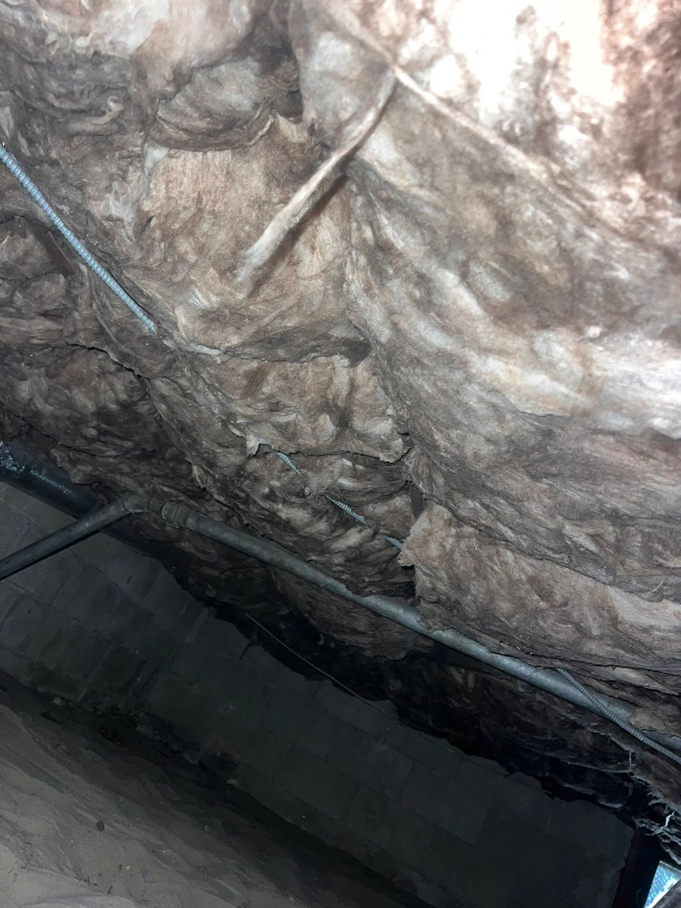 atticinsulation6