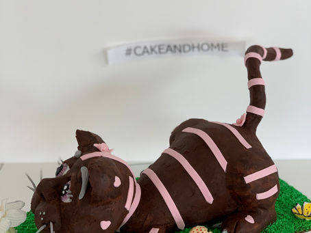 Chocolate cake kitty