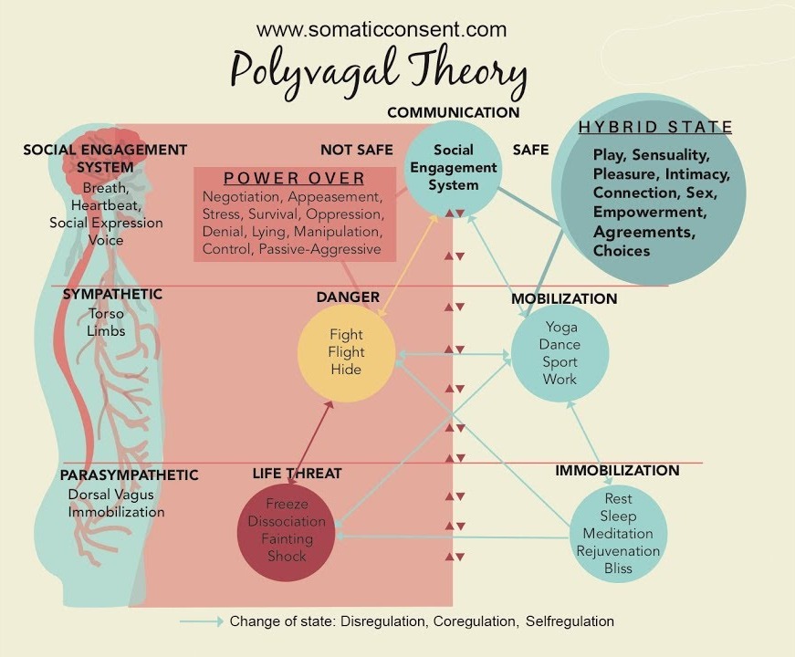 state of survival how to move between states state of survival how to move between states