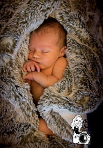newborn3.jpg