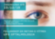 UPO_Imagem-Site_Fellowship (3).png