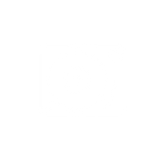 logo juvinyle.png