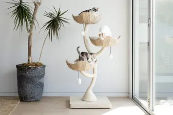 Ivy 3 - cat tree that will bring as much stylish zen to your modern home as it will provide comfort, playtime, and security to your cherished companions.