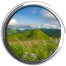 Untitled design - 2025-11-03T114845.647.png