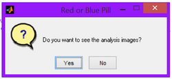 Instant review of analysis image