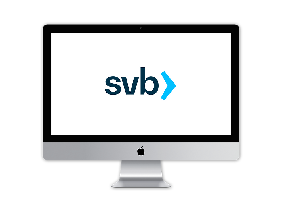 SVBGo