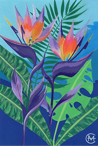 Birds of Paradise_August 2026_Hannah Coley_NM.png