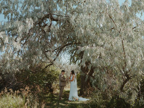A sunny summer wedding first look under the trees.