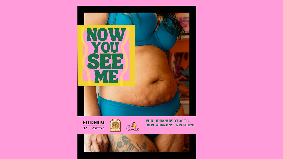 Now You See Me The Endometriosis Empowerment Project