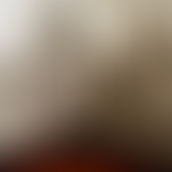 Schimmel verwijderen in Rotterdam? Waarom het zelden een schoonmaakprobleem is