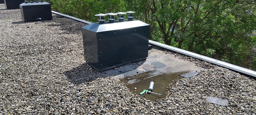 Onderzoek van de dakopbouw rond een afgedekt schoorsteenkanaal aan de Peitkreek in Rotterdam