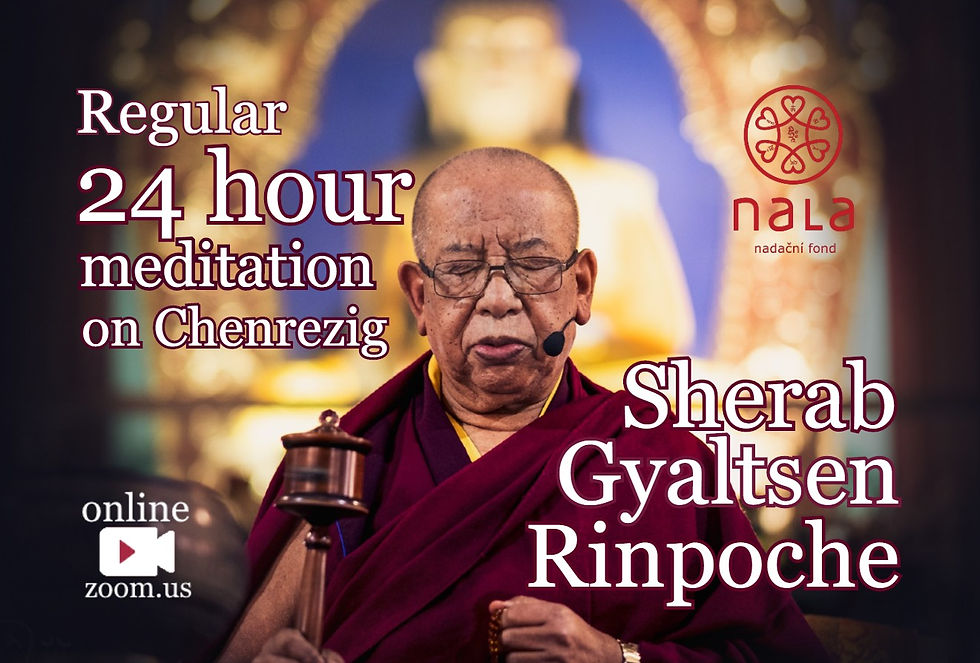 Pravidelná 24hodinová meditace/Regular 24hour meditation