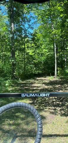 mulching after.jpg