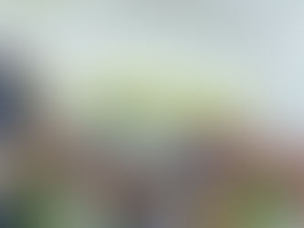 RFID vs. NFC: Entendiendo las Diferencias