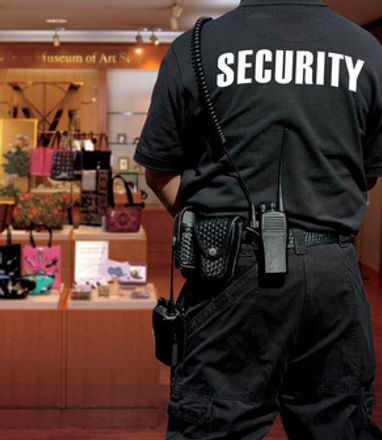 Retail Security.jpg