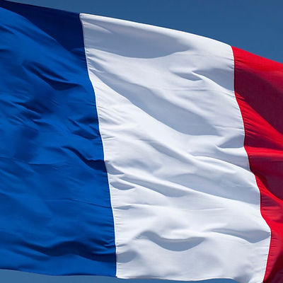 french flag.jpg