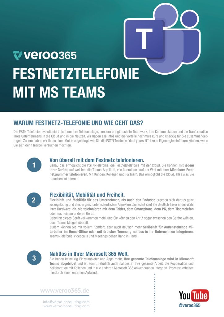 E-Book Festnetztelefonie