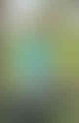 Rennrad7