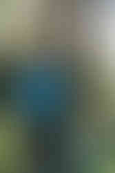 Rennrad1