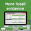 Thumbnail: More fossil evidence