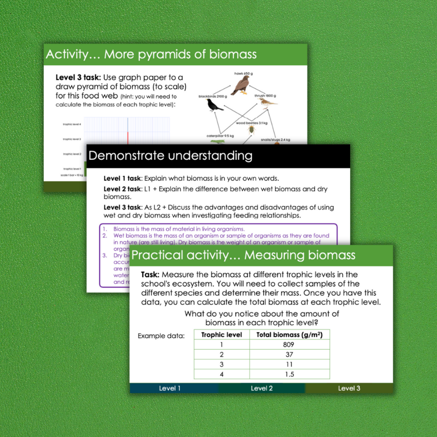 Thumbnail: Trophic levels and biomass