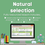 Thumbnail: Natural selection
