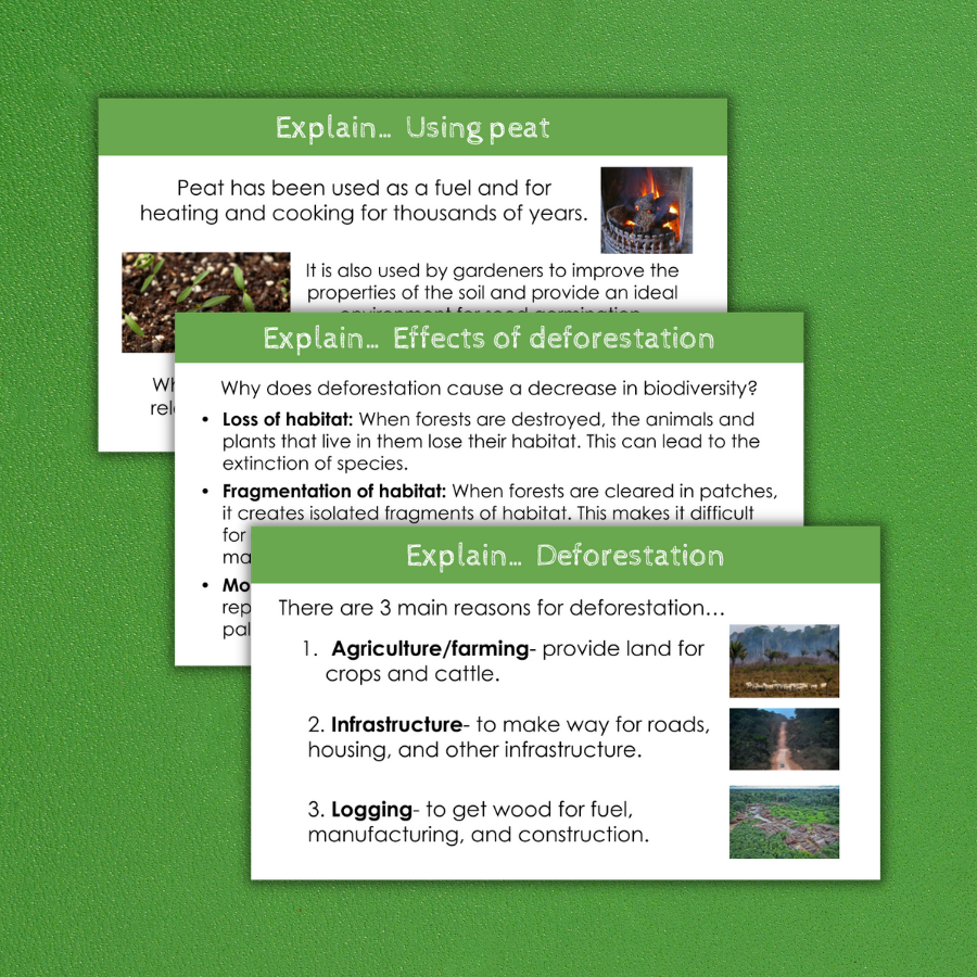 Thumbnail: Deforestation and peat destruction Distance learning