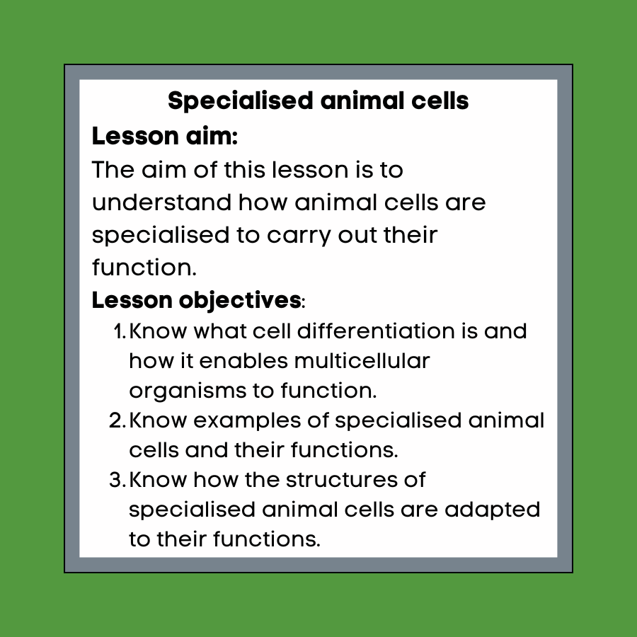 Thumbnail: Specialised animal cells Distance learning