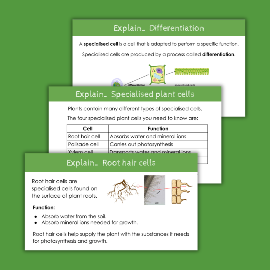 Thumbnail: Specialised plant cells Distance learning