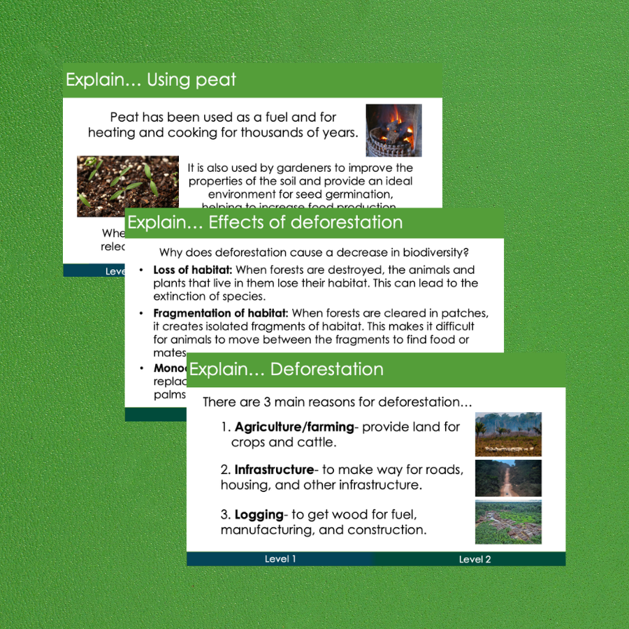 Thumbnail: Deforestation and peat destruction