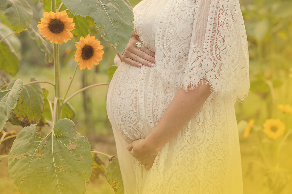 Preg Sunflower.jpg