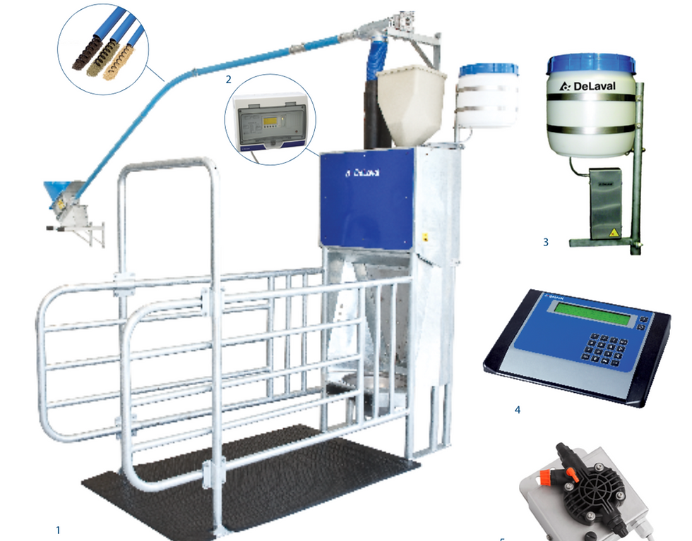 DeLaval bireysel besleme istasyonu: her ineğe kendi kesif yem payı