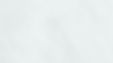 White Background_edited_edited.jpg
