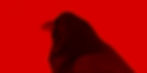 A raven basked in red filter